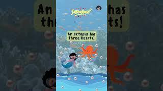 Asal's Sea Secrets | Octopus #kids #science #seacreatures  #education #learning #fun #oceanfacts