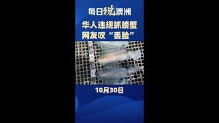 澳洲新闻｜澳洲Centrelink发“$890额外补贴”？维州法官帮助移民罪犯逃避驱逐出境？原油期货创两年最大跌幅！