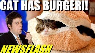 Cat Can Has Cheezburger! - NEWSFLASH