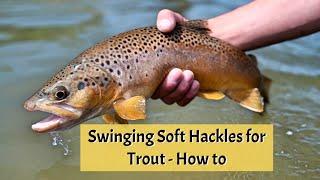 Fishing Soft Hackles