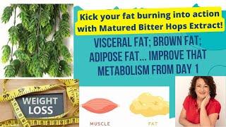 LOSING FAT IN OUR BODIES. metabolisism, WHAT FAT CONTAINS, HCG and Matured Hops Bitter Extracts....