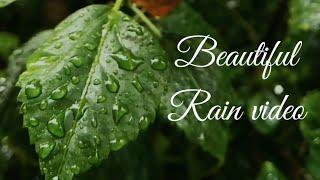 Beautiful Rain video by Rj