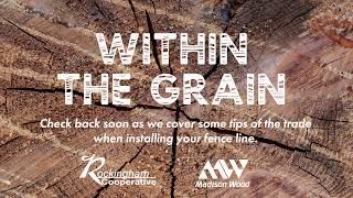 Within the Grain - episode 2 - in partnership with Madison Wood