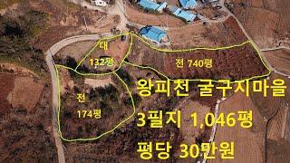 울진부동산 왕피천 굴구지마을 대지 전 1046평 매매