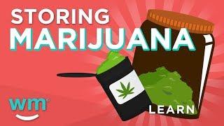 Storing Marijuana: How To Keep Weed Fresh | Weedmaps Learn