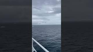 Antarctica glaciers from the cruise ship #antarctic #antarctica #ice #antarcticexpedition #penguin