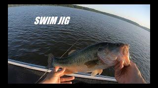 FIVE Bass in ONE HOUR on the Potomac River in June