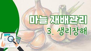 [영농기술] 마늘 재배관리 3. 생리장해