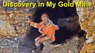 High Grade Ore Hiding In My Gold Mine Season 2 Episode 11