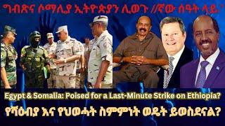 ግብጽና ሶማሊያ ኢትዮጵያን ሊወጉ 11ኛው ሰዓት ላይ? #TigraiPress #Ethiopia #TigrayWar #Eritrea #Somalia #RedSea #HOA