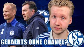 Geraerts auch beim S04 Sieg weg? Muss auch Wilmots gehen? - Schalke News