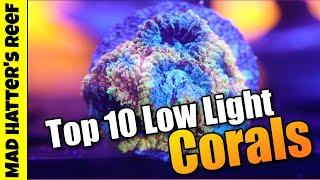 Top 10 Low Light (100 PAR or less) Corals