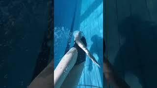 #UnderwaterBeauty #Freediving #SwimWithMe #AquaAdventure #OceanExploration