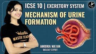 The Excretory System L2 | Mechanism of Urine Formation | ICSE Class 10 Biology | Vedantu Class 10