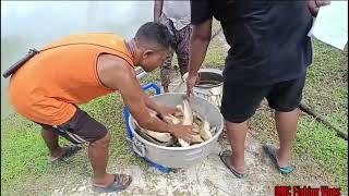 Dadenggre Gadarugre Fishing Competition na Gnigipa changna natok wataiaha/28th September