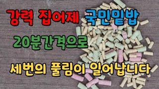 이게//가능//20분간격으로//3번의//풀림이  #일성사국민밑밥 #붕어낚시 #붕어