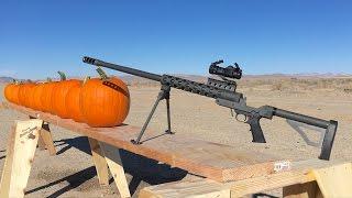 50 BMG VS PUMPKINS 