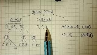 Части речи – что это такое, как их сгруппировать, чтобы легко запомнить