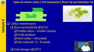 Lec 4 - ABT 301-Culture types - callus and cell suspension culture; shoot tip and meristem culture .