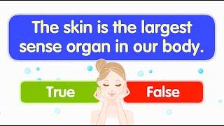 Fun Sense Organs Quiz for Kids! | Test Your 5 Senses Knowledge | Quiz Time