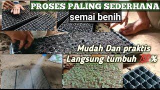 PROSES SEMAI PALING HEMAT ‼️ Ternyata lebih mudah dan murah Hasil 100%