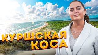 Куршская коса Калининград | Дюны, Высота Эфа, Танцующий лес и Национальный парк Куршская коса 2021