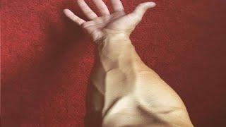 best exercises to get massive forearms fast