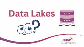 Data Lakes Explained