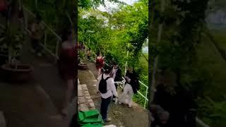 Cũng đàn mới  tân cổ...