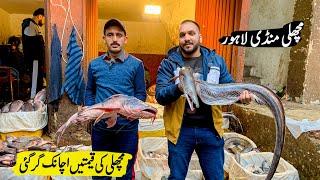 Fish Market Lahore | Wholesale Fish Market | Fish Market Rates 2025 | Machli Mandi Lahore