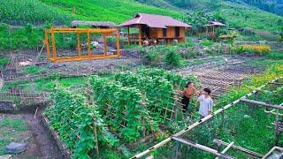 Processing special dishes from chili peppers, bamboo shoots and GARLIC after harvest | Thao Vy Farm