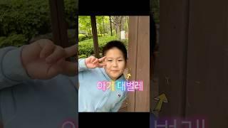짜꼬미TV아기 대벌레 관찰계남산에도 대벌레가 있다니 너무 신기하고 아장아장 기어올라가는 모습도 너무 귀여웠던 만남#shorts#대벌레