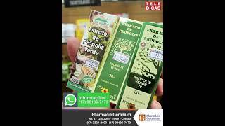 Própolis comum x própolis verde - Pharmácia Geranium