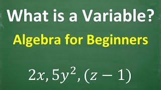 What’s a Variable? (algebra for beginners )