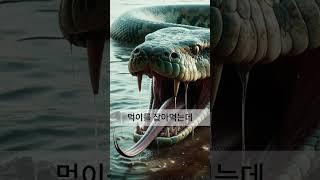 아나콘다의 놀라운 먹이 사냥 기술 #아나콘다  #anaconda  #animals