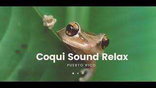 Coqui Sound Puerto Rico Relax