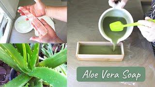 Making Cold Process Aloe Vera Soap - Harvesting the Leaves and Gel - Full Soap Making Recipe