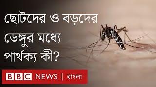 ডেঙ্গু নিয়ে ১০ টি তথ্য | BBC Bangla