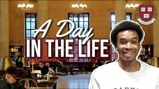 A Day In The Life Of A Harvard Student