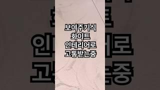 화이트 인테리어 추천