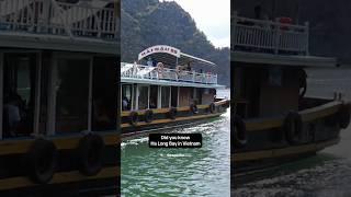 Ha Long Bay Vietnam Unique Fact #halongbay #vietnam #unique #uniquefacts #shorts