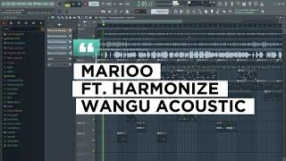 Marioo feat Harmonize - Wangu (Acoustic)