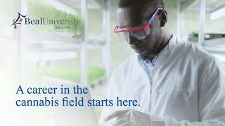 Accredited Online Cannabis Degree Programs - Beal University