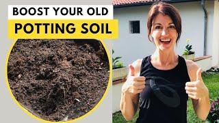 REUSE POTTING SOIL - Can I reuse old potting soil?