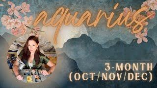 AQUARIUS | Discovering The Solution & Rapid Cycle | 3-Month Review | Oct-Nov-Dec 2024