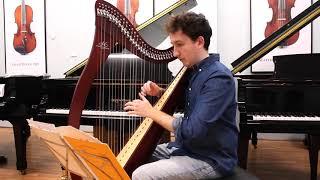 A Camac Hermine 34 string harp | WA Music Co.