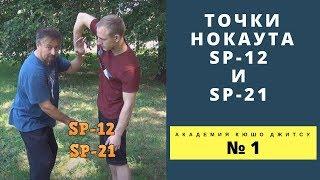 Точки нокаута в айкидо SP 12  и SP 21.  Академия Кюшо джитсу №1