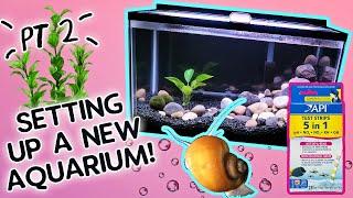 Setting Up A New Aquarium! (Part 2) Plants, Snails, Shrimp!