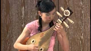 Beethoven《Andante Con Variazioni in D major WoO 44b》貝多芬D大調行板與變奏｜柳琴 Liuqin   陳子涵 Zihan Chen