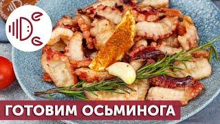 Как приготовить осьминога Два простых рецепта